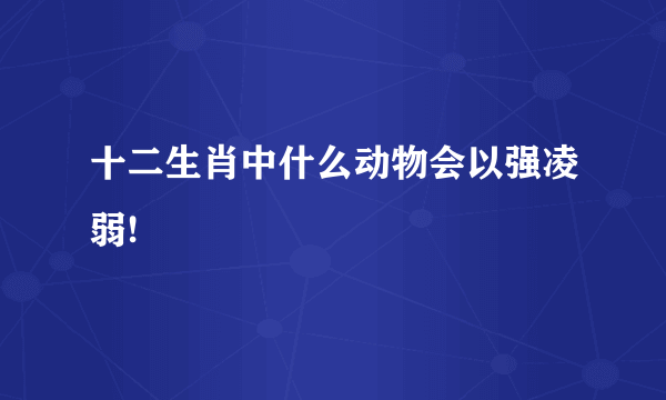 十二生肖中什么动物会以强凌弱!