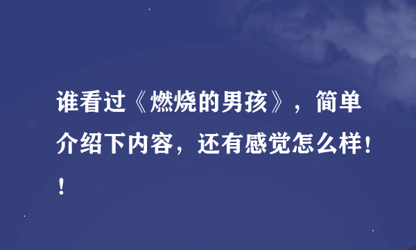 谁看过《燃烧的男孩》，简单介绍下内容，还有感觉怎么样！！