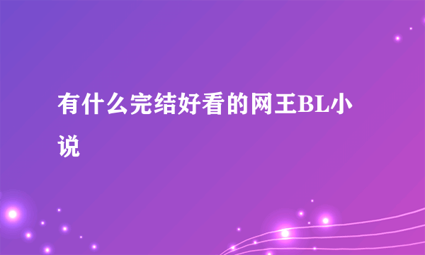 有什么完结好看的网王BL小说