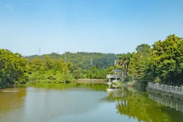 湛江哪里好玩的景点推荐