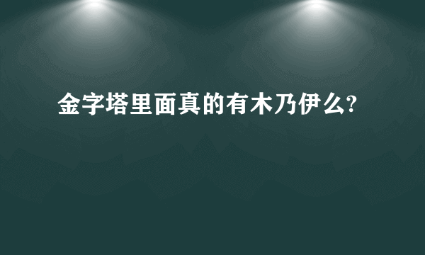 金字塔里面真的有木乃伊么?