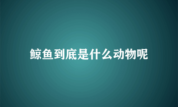 鲸鱼到底是什么动物呢