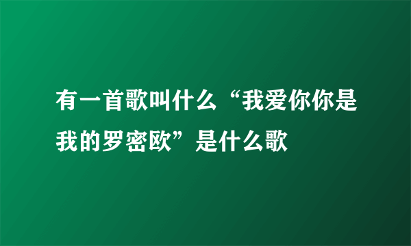 有一首歌叫什么“我爱你你是我的罗密欧”是什么歌