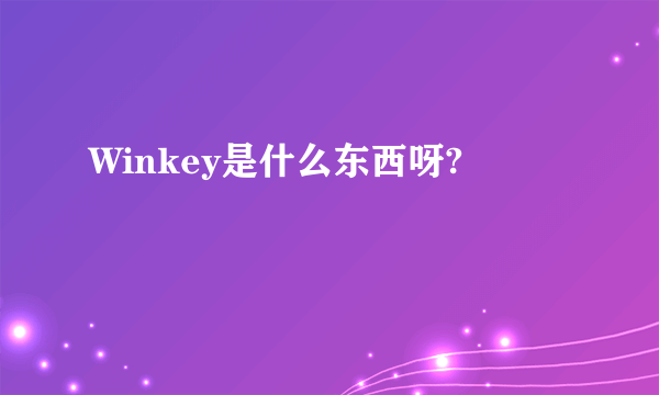 Winkey是什么东西呀?