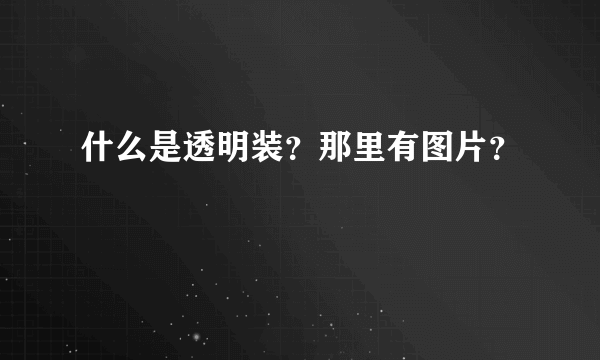 什么是透明装？那里有图片？