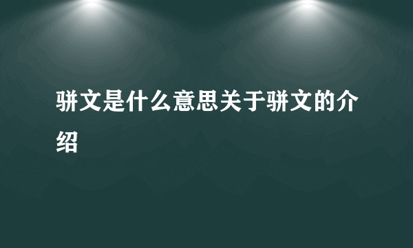 骈文是什么意思关于骈文的介绍