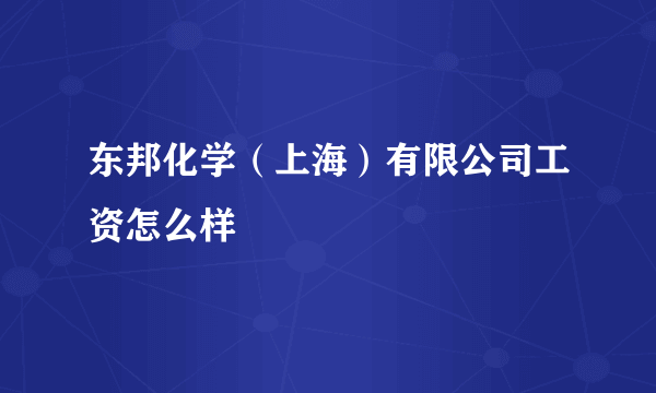 东邦化学（上海）有限公司工资怎么样