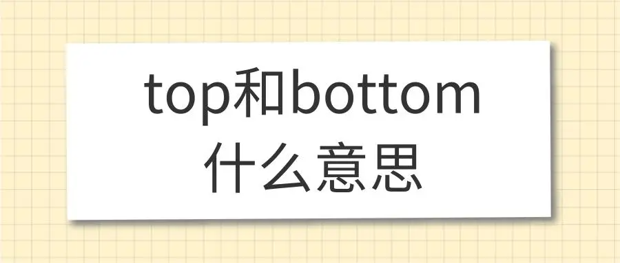 bottom是什么意思啊