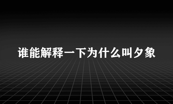 谁能解释一下为什么叫夕象