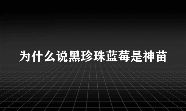 为什么说黑珍珠蓝莓是神苗