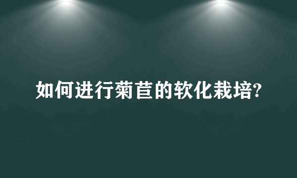 如何进行菊苣的软化栽培?