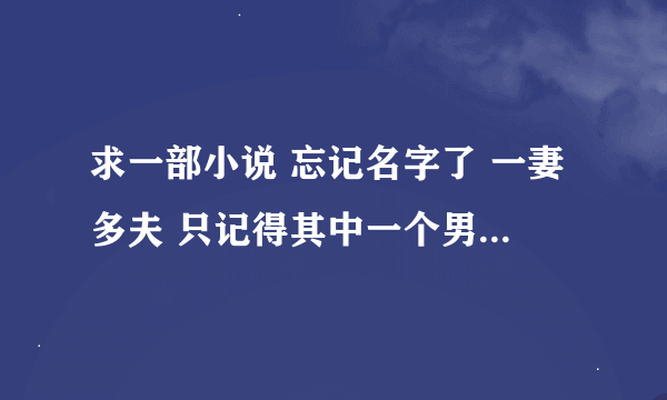 求一部小说 忘记名字了 一妻多夫 只记得其中一个男主叫绯色