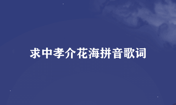 求中孝介花海拼音歌词