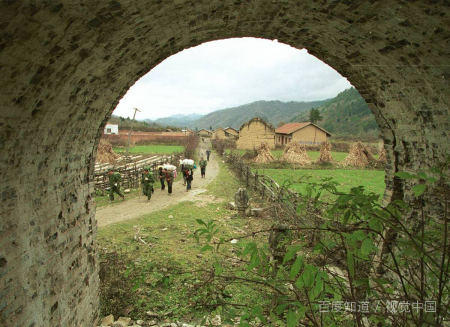 定西师范高等专科学校代码是多少？