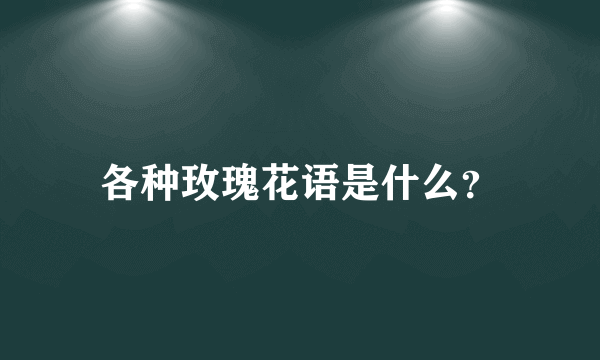 各种玫瑰花语是什么？