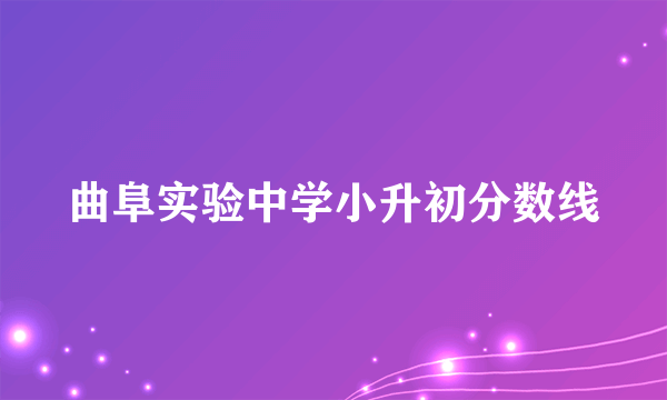 曲阜实验中学小升初分数线