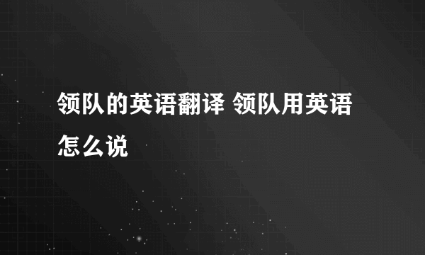 领队的英语翻译 领队用英语怎么说