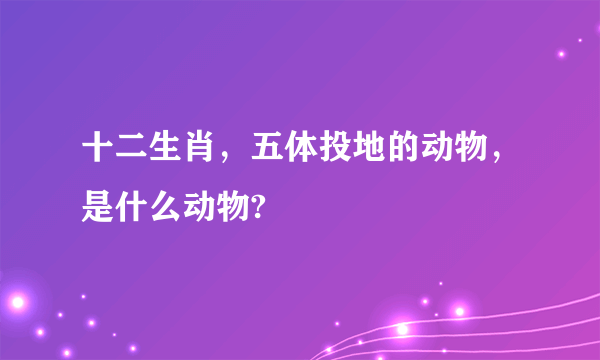 十二生肖，五体投地的动物，是什么动物?