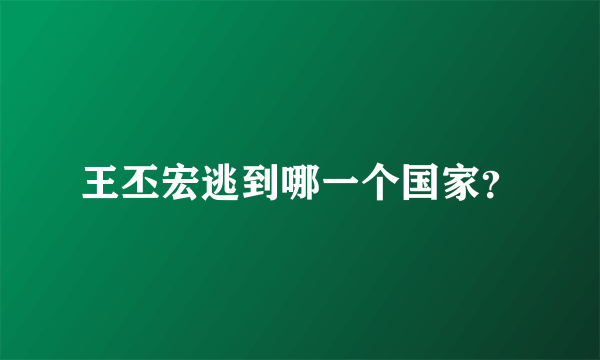 王丕宏逃到哪一个国家？