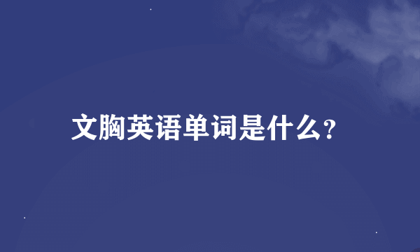 文胸英语单词是什么？