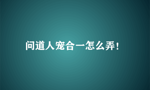 问道人宠合一怎么弄！