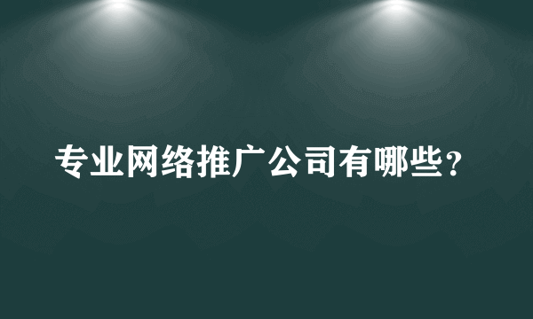 专业网络推广公司有哪些？