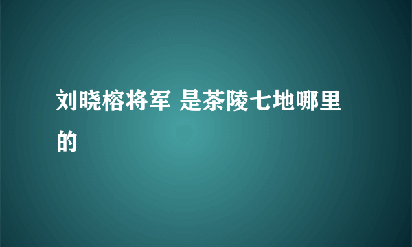 刘晓榕将军 是茶陵七地哪里的