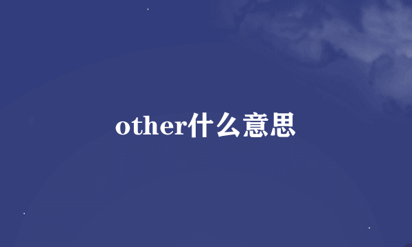 other什么意思