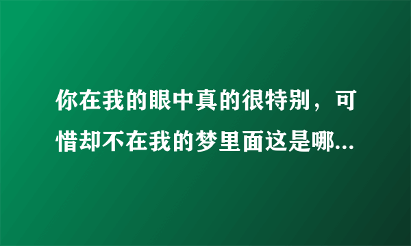 你在我的眼中真的很特别，可惜却不在我的梦里面这是哪首歌的歌词