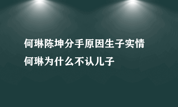 何琳陈坤分手原因生子实情 何琳为什么不认儿子