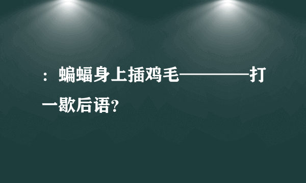 ：蝙蝠身上插鸡毛————打一歇后语？