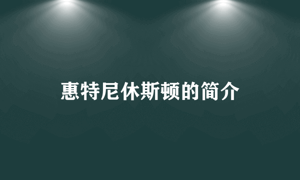 惠特尼休斯顿的简介