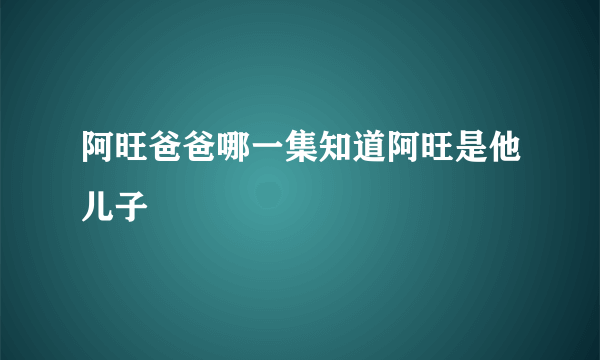 阿旺爸爸哪一集知道阿旺是他儿子