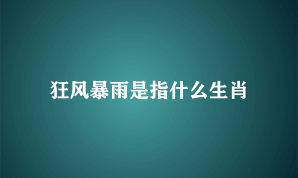 狂风暴雨是指什么生肖