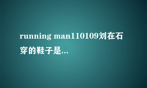 running man110109刘在石穿的鞋子是什么牌子