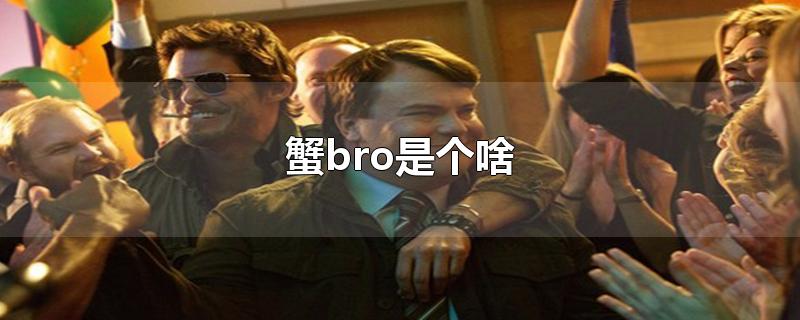 蟹bro是什么意思？