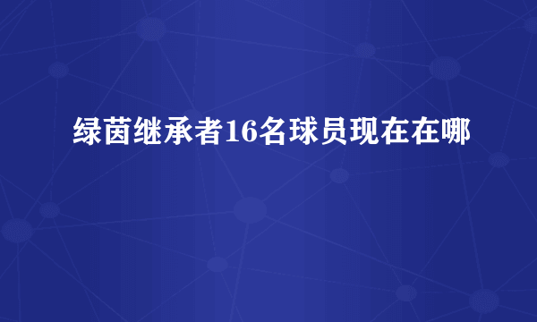 绿茵继承者16名球员现在在哪