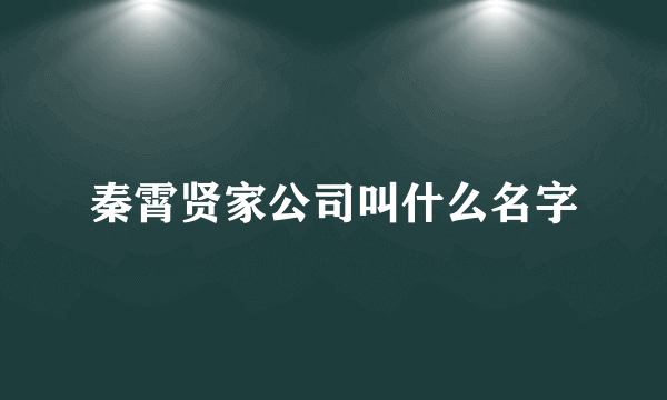 秦霄贤家公司叫什么名字