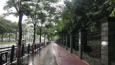 河南暴雨，南阳临街商铺被淹，这场大暴雨造成的损失有多大？