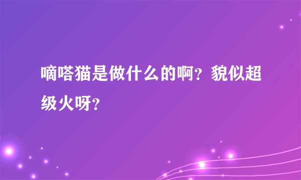 嘀嗒猫是做什么的啊？貌似超级火呀？