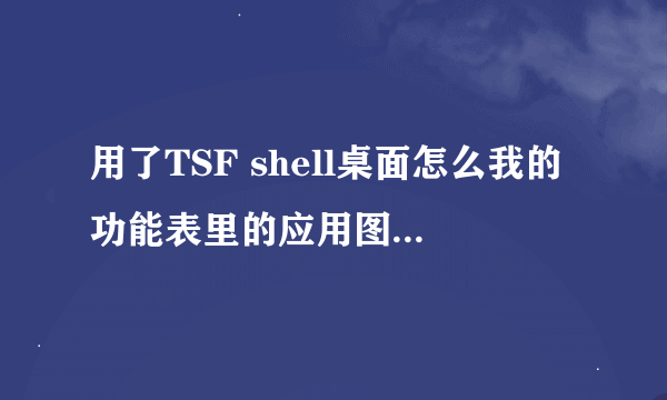 用了TSF shell桌面怎么我的功能表里的应用图标都变灰色了？