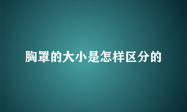 胸罩的大小是怎样区分的