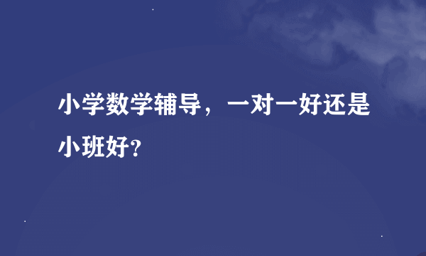 小学数学辅导，一对一好还是小班好？