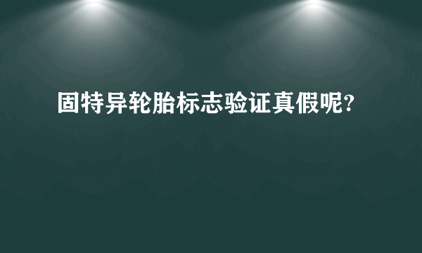 固特异轮胎标志验证真假呢?