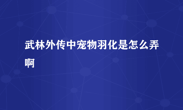 武林外传中宠物羽化是怎么弄啊