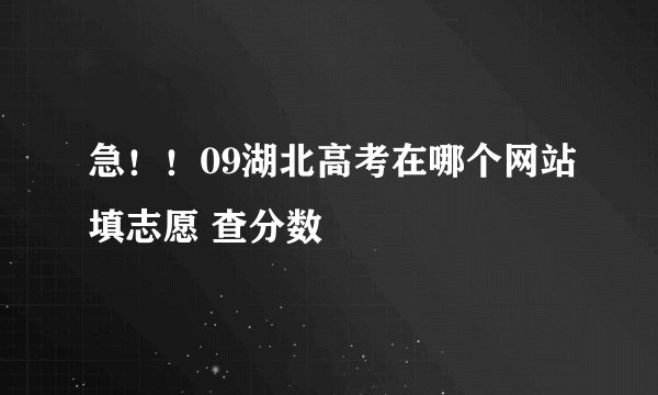 急！！09湖北高考在哪个网站填志愿 查分数