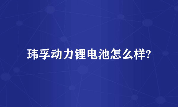 玮孚动力锂电池怎么样?