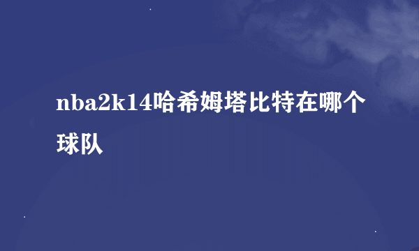 nba2k14哈希姆塔比特在哪个球队