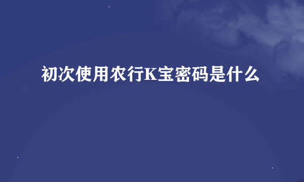 初次使用农行K宝密码是什么