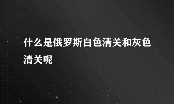 什么是俄罗斯白色清关和灰色清关呢